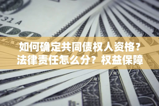 济南如何确定共同债权人资格？法律责任怎么分？权益保障技巧揭秘！
