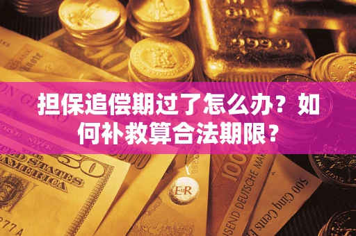 济南担保追偿期过了怎么办？如何补救算合法期限？