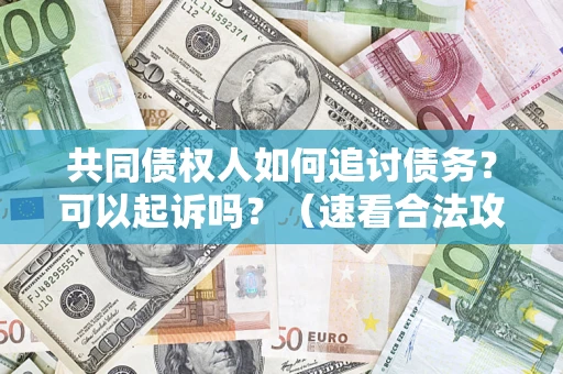 济南共同债权人如何追讨债务？可以起诉吗？（速看合法攻略）