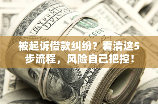 济南被起诉借款纠纷？看清这5步流程，风险自己把控！