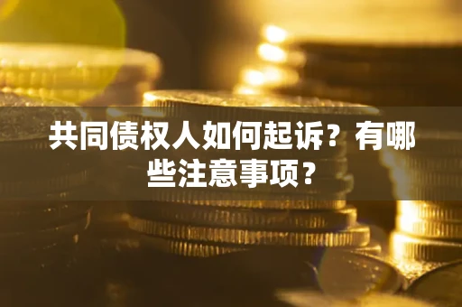 济南共同债权人如何起诉？有哪些注意事项？